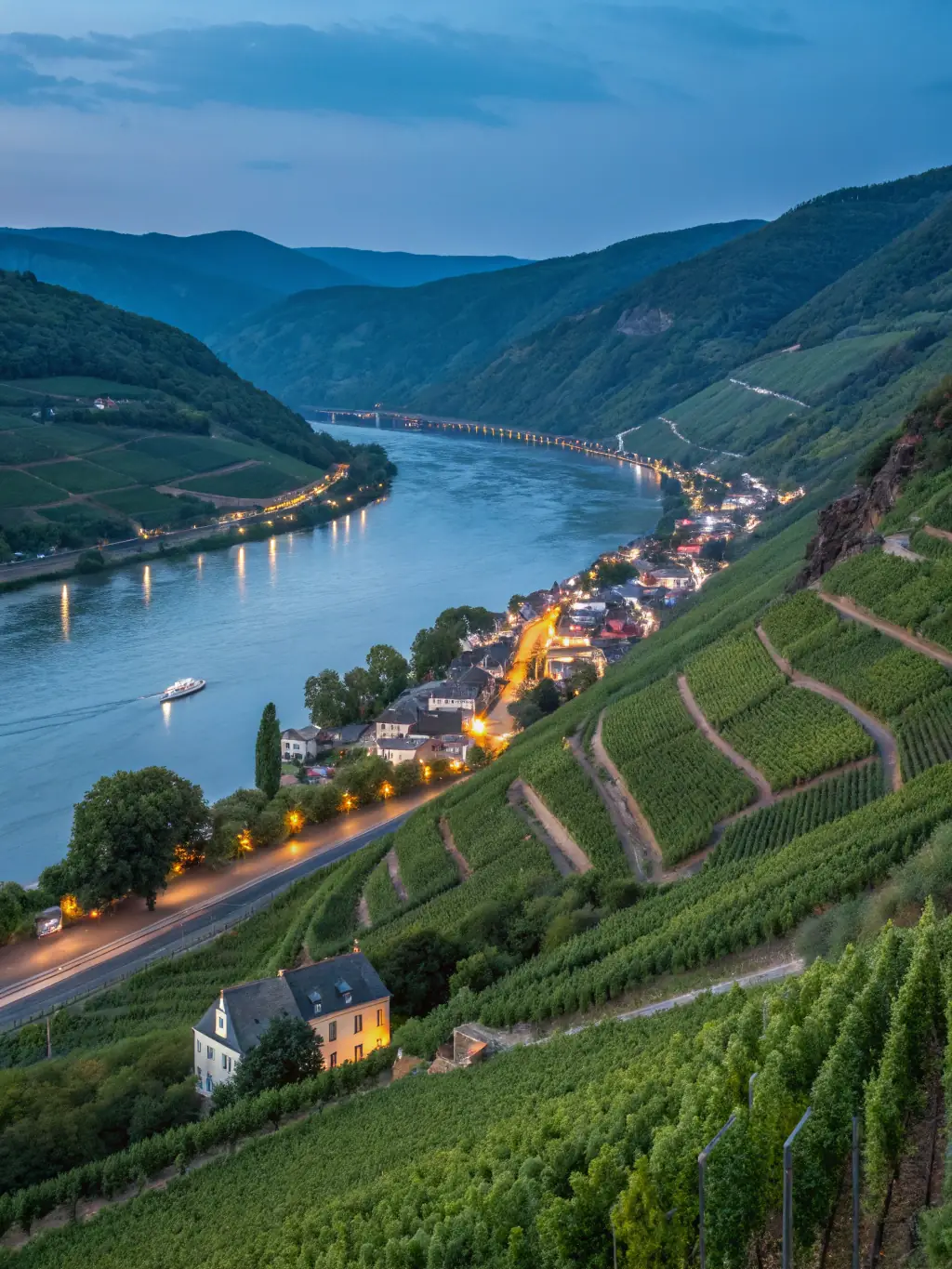 A scenic shot of the Rhine River in Germany, showcasing a medieval castle perched on a hilltop overlooking the river, with vineyards in the foreground, symbolizing the rich history and wine culture of the region.