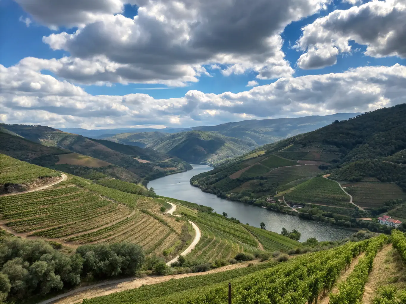 A luxurious river cruise ship navigating through the vineyards of the Douro Valley in Portugal, with terraced vineyards visible on the hillsides.